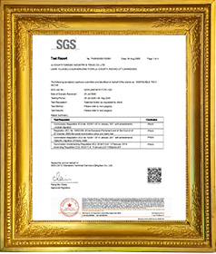  SGS 