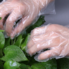PEプラスチック家庭用毎日の食品グレードの食事使用耐油性食品手使い捨て透明HDPEプラスチックPE手袋